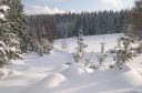 crw_3553.jpg